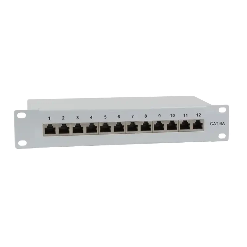 IT-BUDGET patch panel 10