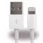 CYOO Cable Lightning 2m blanco - Carga y sincronización para iPhone, iPad, iPod