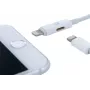 CYOO Cable adaptador de carga y audio Lightning 2 en 1 - Blanco