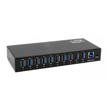 EXSYS EX-11290HMS Hub USB 3.2 Gen 1 de 10 puertos con fuente de alimentación 12V/5A