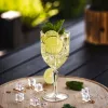 GRAMONTY Copas de vino Premium 280 ml, pack de 12 (6663)