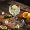 GRAMONTY Premium 6665 vasos de tubo long drink 540 ml, 12 uds.