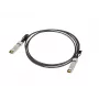 Lanberg cable SFP+ Direct Attach 3m negro 10Gbps cobre Twinax pasivo