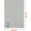 LEITZ Esselte Separadores de plástico, numerados 1-12, A4, blanco, perforación universal, 10 sets (100153)