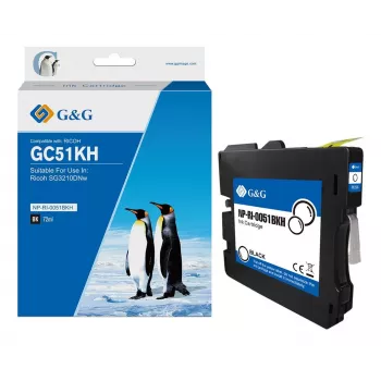 Cartucho de tinta compatible G&G para Ricoh GC51KH (405862) - negro, 2500 páginas 19656