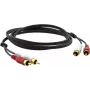 Kramer C-2RAM/2RAM-10 cable de audio coaxial RCA conector macho a conector macho RCA 3,0m negro 95-0202010