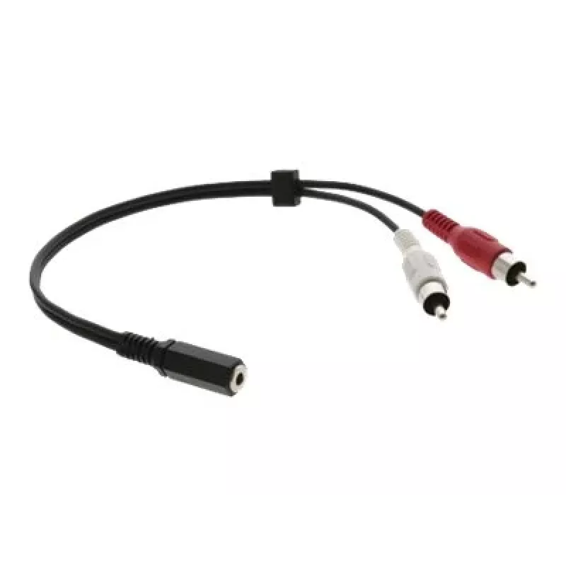 Kramer C-A35F/2RAM-1 Cable adaptador de audio - conector hembra de 3,5 mm a 2 conectores RCA macho, 30 cm, negro