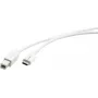 Kramer Electronics C-USB/CB-6 cable USB 2.0, conector macho USB-C a conector macho USB-B, 1,8 m, blanco 96-02357106