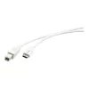 Kramer C-USB/CB-10 Cable USB 2.0, conector macho USB-C a conector macho USB-B, 3 m, blanco 96-02357110