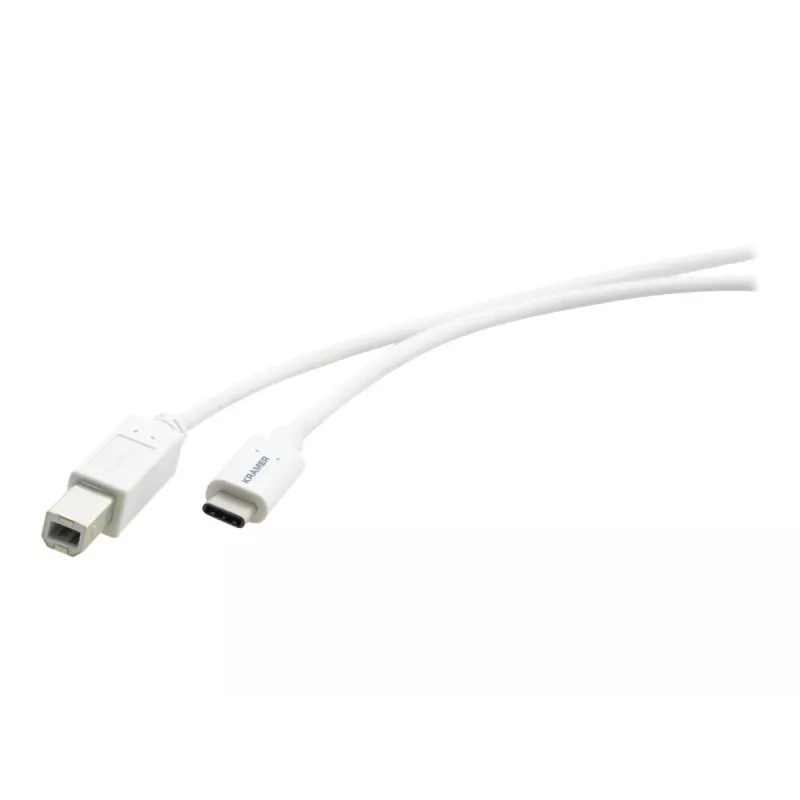 Kramer C-USB/CB-10 Cable USB 2.0, conector macho USB-C a conector macho USB-B, 3 m, blanco 96-02357110