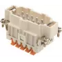 ILME CSHM10 inserto macho 10P+PE Plata SQUICH 16A 500V tamaño 57.27