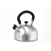 Tetera de acero inoxidable IBILI 1,5 L con filtro, plata pulida, apta para inducción
