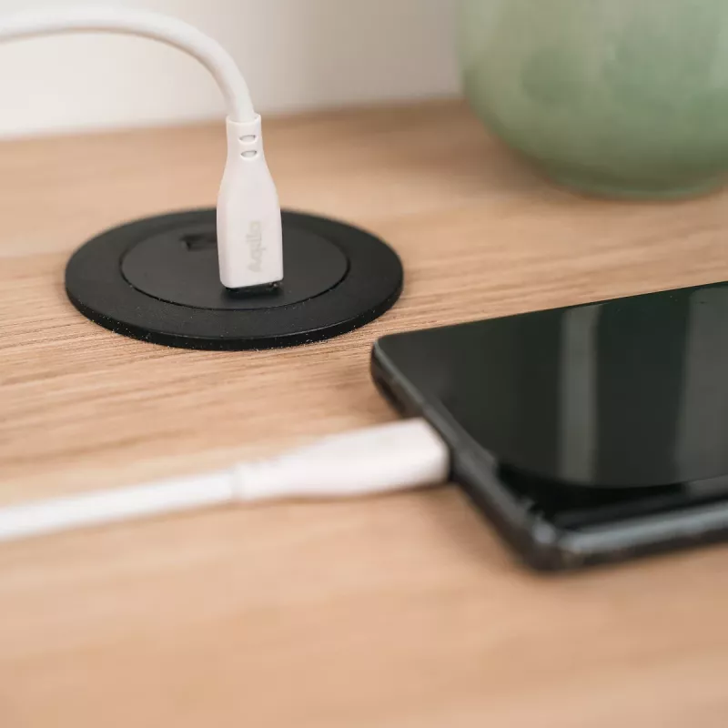 AQIILA Cablebird CS12 cable de carga y sincronización USB-C a USB-C 2m 60W negro AQCBPBIC2SI829