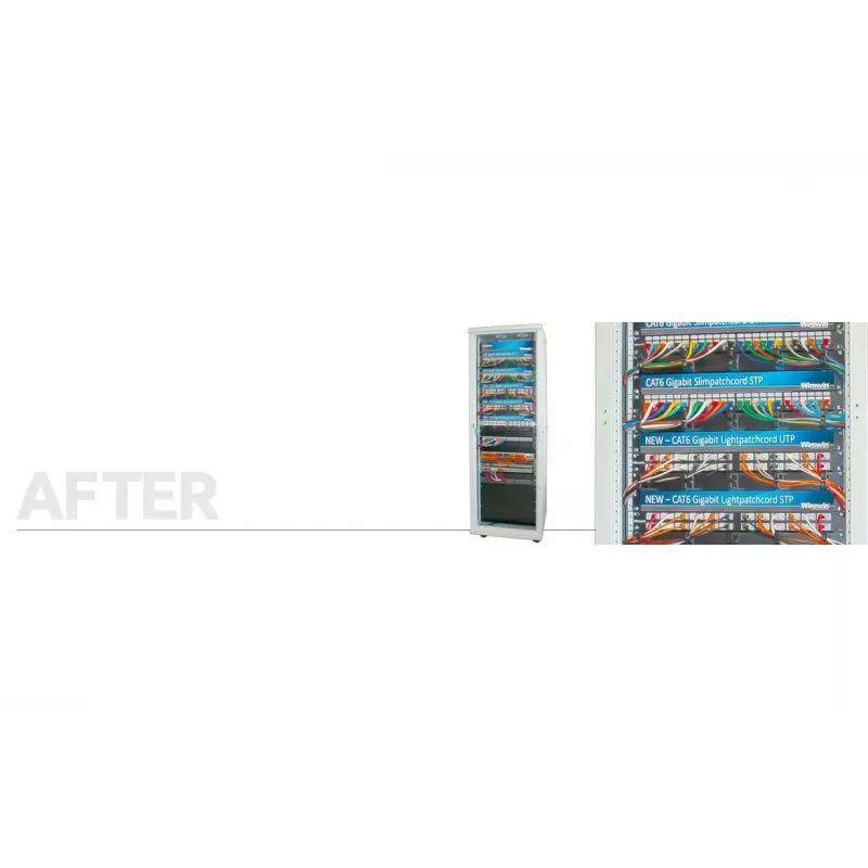 Wirewin Triotronik PKW-LIGHT-K6 1.5 BL cable de red Ethernet Cat6 UTP, conector RJ45 macho a macho, 1,5 m, azul