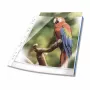 DURABLE fundas para documentos DIN A4, 0,08 mm, azul, pack de 100, perforación universal