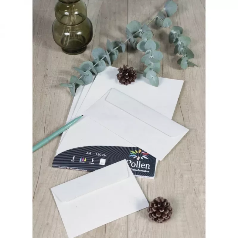 Pollen by Clairefontaine sobre DL, natural 100% papel reciclado, 120 g/m², 110 x 220 mm, 1 ud. (55012C)