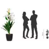 Planta artificial de flor de lis PAPERFLOW PALYS65, 650 mm, poliéster Real Touch