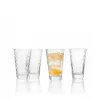 Esmeyer Leonardo OPTIC Set de vasos, 300 ml, decoración en relieve interior, cónicos, 130 mm de altura, 6 unidades 410-749