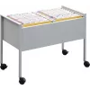 DURABLE Carro de archivo colgante ECONOMY DUO 100 A4, gris claro 308210
