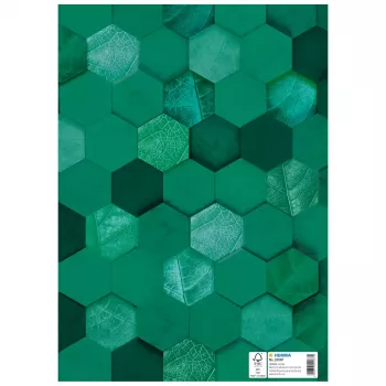 HERMA X Funda para cuadernos, cartón, DIN A4, verde oscuro, 10 uds. 20087