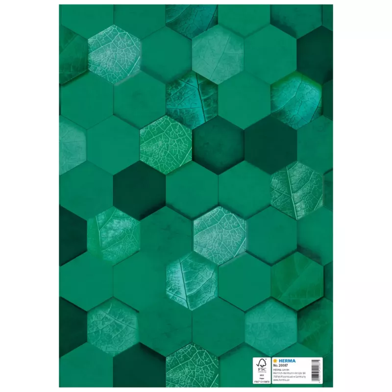 HERMA X Funda para cuadernos, cartón, DIN A4, verde oscuro, 10 uds. 20087