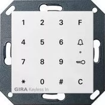 GIRA 260503 Tecla con símbolo de luz para System 55, blanco puro