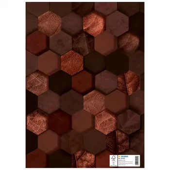 HERMA Funda protectora X, cartón, DIN A4, marrón, con campo de rotulación, 10 uds. (20092)
