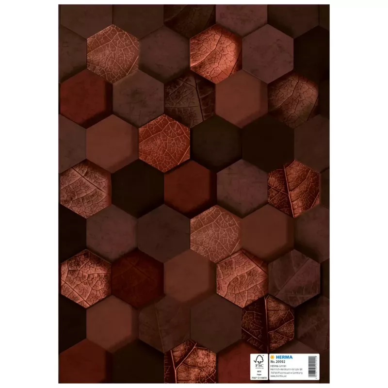 HERMA Funda protectora X, cartón, DIN A4, marrón, con campo de rotulación, 10 uds. (20092)