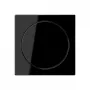 JUNG A 1740 SW Tapa con mando giratorio, duroplast, serie A, negro