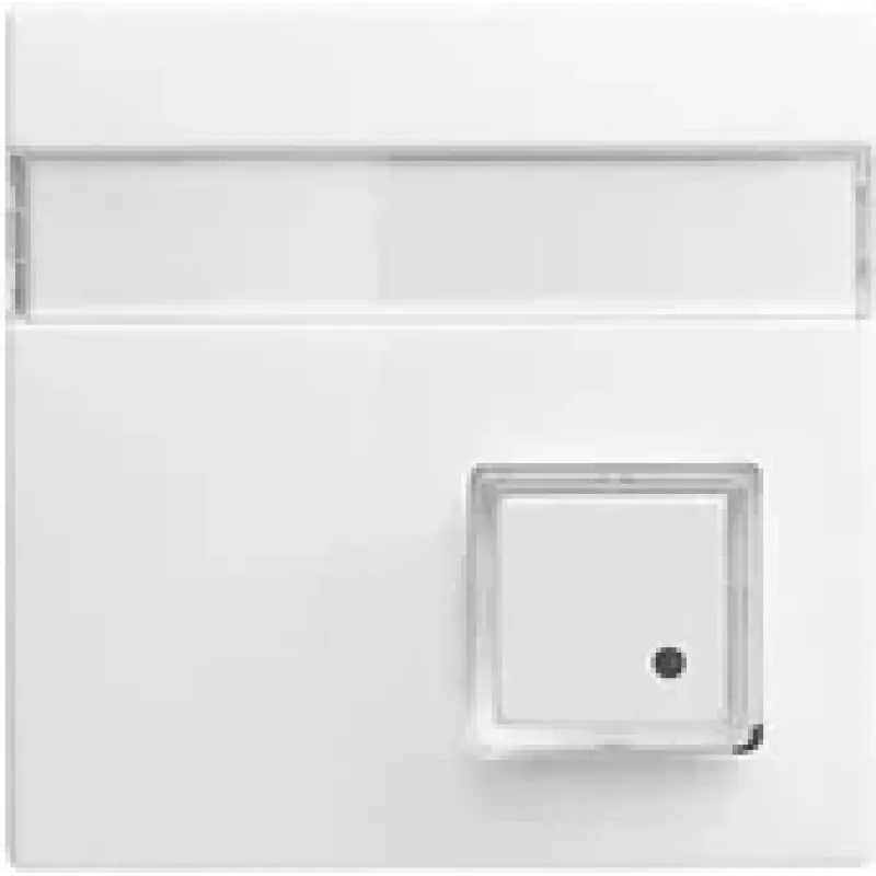 Busch-Jaeger Placa central blanco alpino para mecanismos UAE/TAE 1582-0-0397