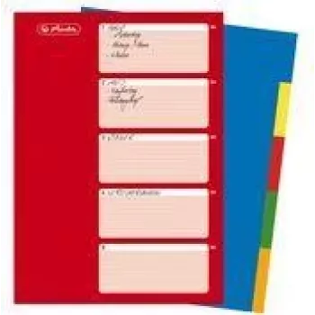 HERLITZ Separador de plástico A4, 10 partes, en blanco, colores surtidos, PP 0,12 mm, perforación múltiple, con portada (10715415)