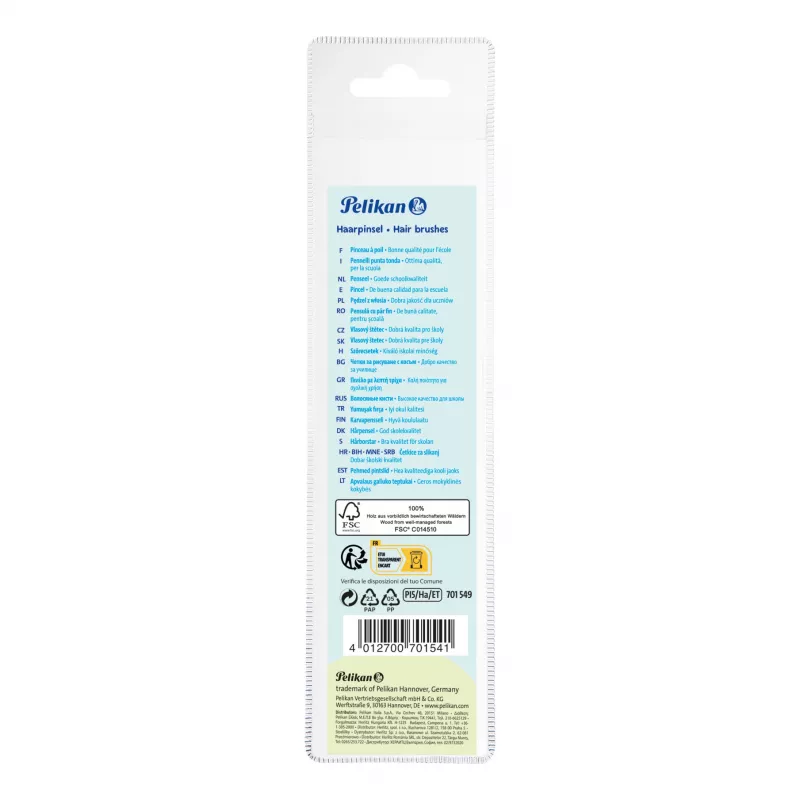 Pelikan Set de pinceles de iniciación, set de 5 piezas con pinceles de pelo natural y mangos de madera, en estuche transparente 300008264