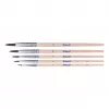 Pelikan Set de pinceles de iniciación, set de 5 piezas con pinceles de pelo natural y mangos de madera, en estuche transparente 300008264