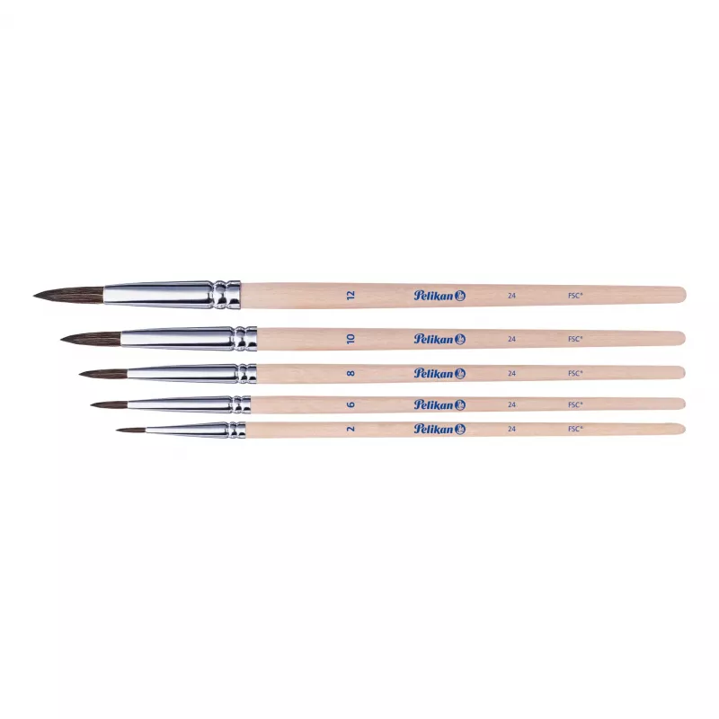 Pelikan Set de pinceles de iniciación, set de 5 piezas con pinceles de pelo natural y mangos de madera, en estuche transparente 300008264