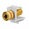 Rutenbeck adaptador de conexión de altavoz Keystone KMK-LS, bornes de tornillo, negro/rojo, sin herramientas 17000608
