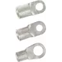 LAPP terminal de anillo 10 mm², agujero 6,5 mm, sin aislar, 100 uds. 63204245