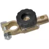 IWH borne de batería (-) con interruptor de desconexión para coche, caravana y autocaravana – 1 unidad (019040)