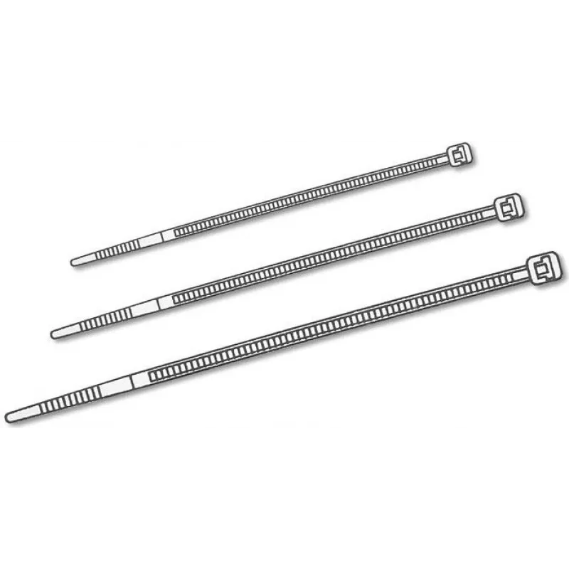 Delock bridas transparentes L 200 x A 3,6 mm 100 unidades (18606)