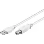 Wentronic 96186 Cable USB 2.0, conector USB-A macho a conector USB-B macho, 1,8 m, blanco