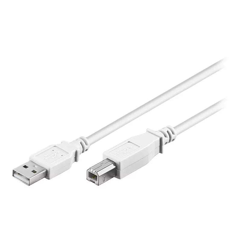 Wentronic 96186 Cable USB 2.0, conector USB-A macho a conector USB-B macho, 1,8 m, blanco