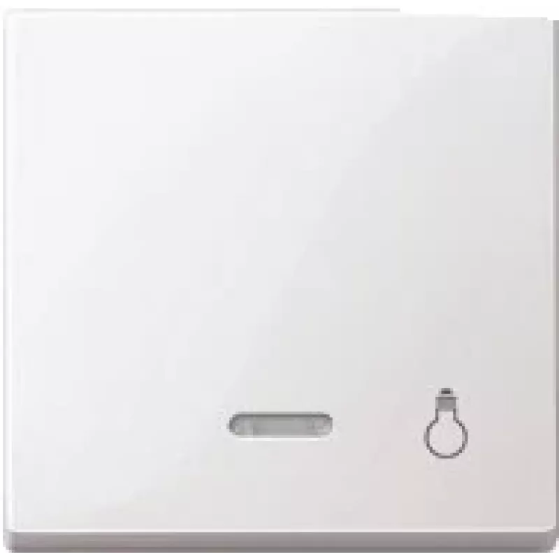 Merten 430919 interruptor de luz blanco