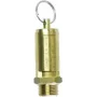 Aerotec válvula de seguridad de aire comprimido 1/2 pulgadas, 10 bar, latón 9049104