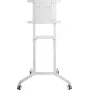 PureLink PureMounts soporte de TV móvil, blanco (PM-CART-80W)