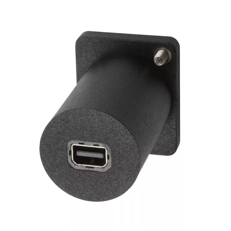 EXSYS EX-49170 Adaptador de montaje DisplayPort a Mini DisplayPort hembra, 4K UHD