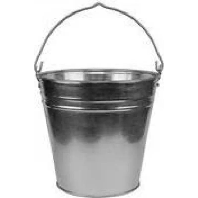 Bradas Cubo de acero galvanizado 5 L Plata con asa de metal J5314