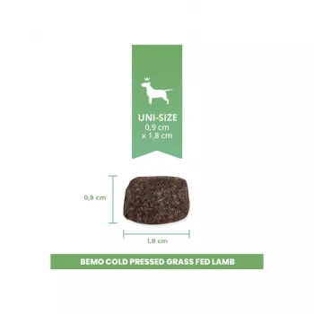 BEMO pienso seco prensado en frío para perros con carne de cordero de ovejas alimentadas con pasto 1kg