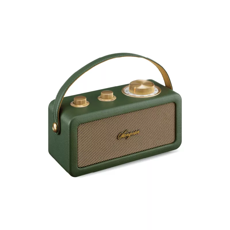 Sangean RA-101 altavoz Bluetooth portátil Forest Gold