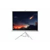 celexon Economy pantalla de trípode 133 x 133 cm White Edition