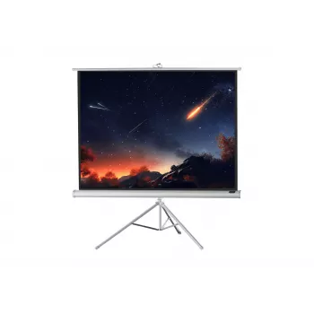 celexon Economy pantalla de trípode 133 x 133 cm White Edition
