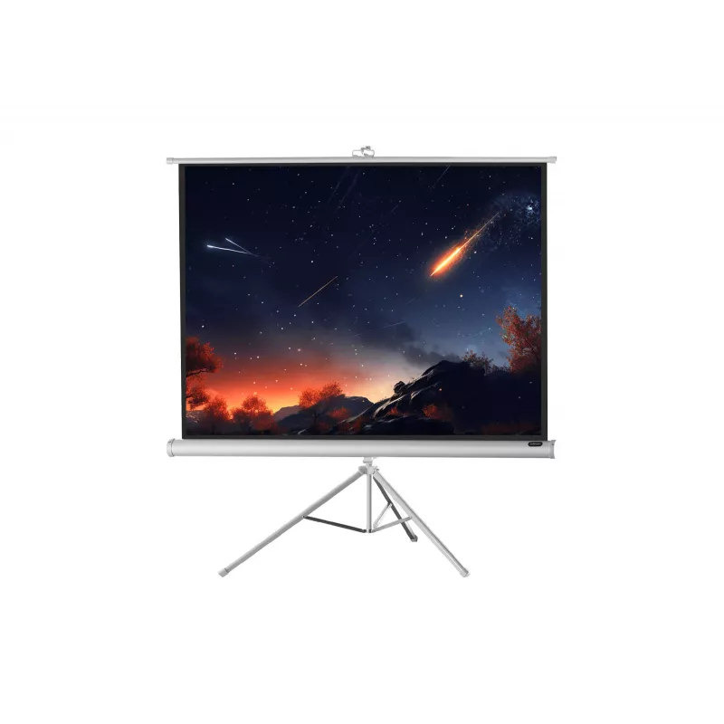 celexon Economy pantalla de trípode 133 x 133 cm White Edition